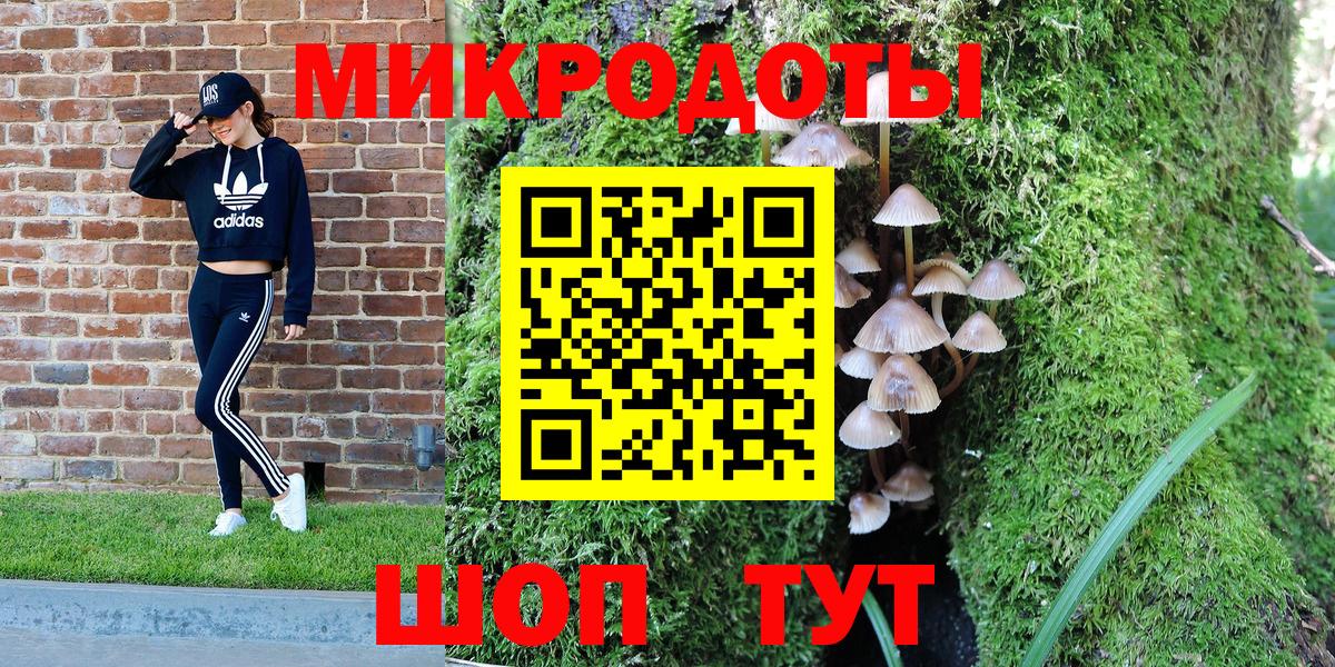 Галлюциногенные грибы мухоморы Тобольск