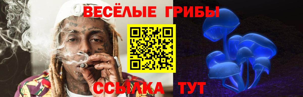 Тобольск  Псилоцибиновые грибы мицелий  что такое   Псилоцибиновые грибы Psilocybe  Вход с VPN 